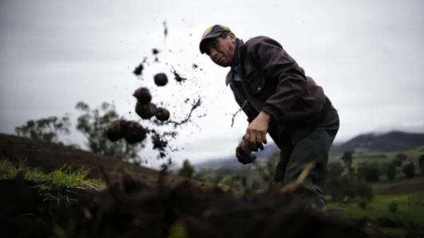 Durante 2023 los costos de los productores cayeron 5,79 por ciento