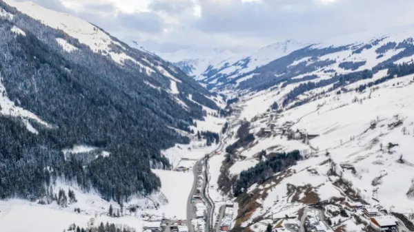 El fósil más antiguo de los Alpes era una falsificación