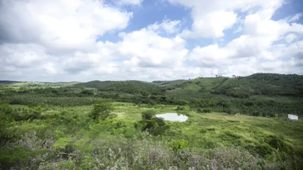 Por sentencia judicial Argos debió entregar tierras despojadas a campesinos en Sucre