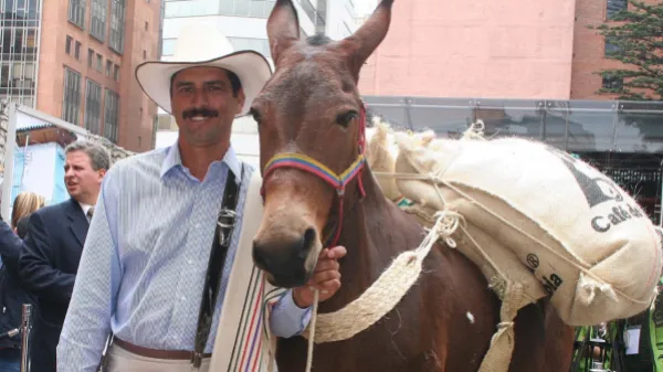 Murió Carlos Castañeda, quien hizo el personaje de Juan Valdez por veinte años