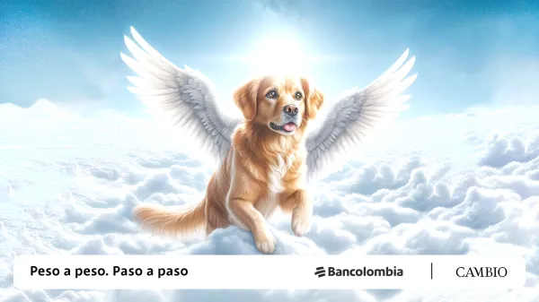 Servicios funerarios para mascotas: opciones para decir adiós