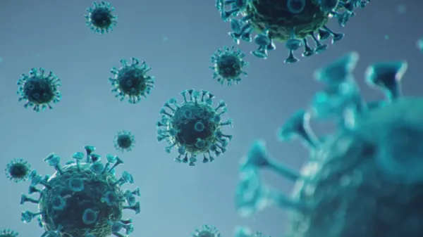 Gripe aviar: OMS aclaró que el paciente en México no murió por H5N2
