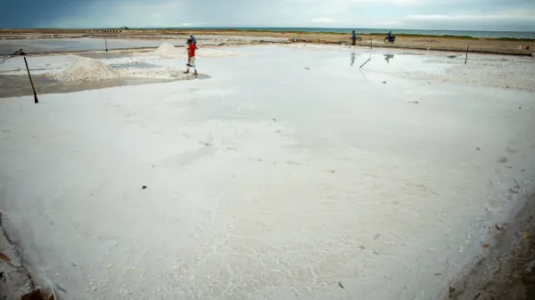 Así es la lucha por la reactivación de las Salinas de Manaure
