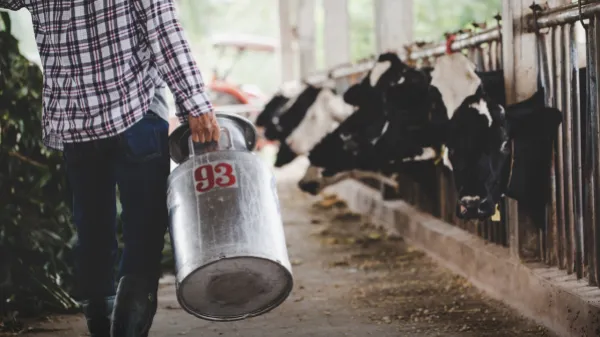 La lucha jurídica contra la adulteración de la leche con lactosuero en Colombia