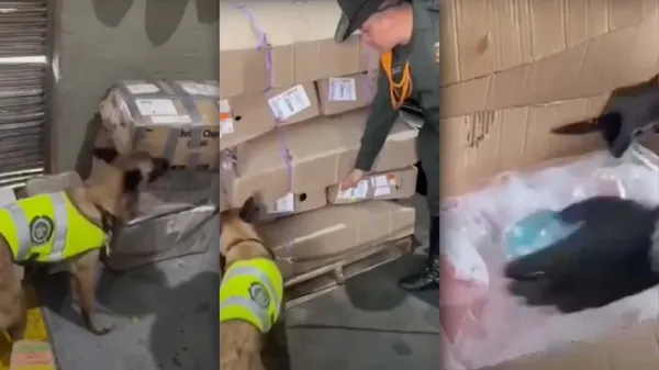 Incautan dos kilos de cocaína camuflados en productos para bebé en El Dorado