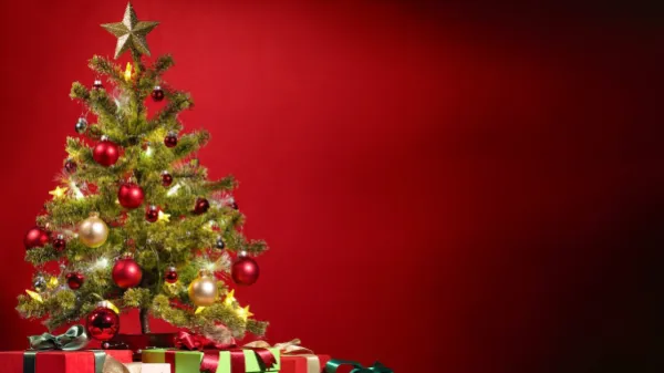 Día 9 de la Novena de Navidad 2024: oraciones, gozos y reflexión 🎄
