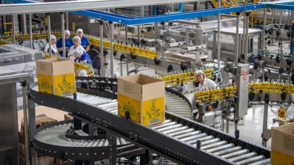Entre el aguardiente y el ron: la historia de éxito de la Industria Licorera de Caldas