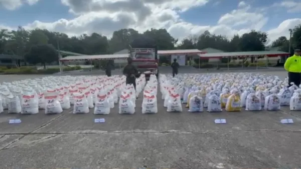 Ejército incautó más de seis toneladas de insumos para la elaboración de pasta de coca en la región del Catatumbo