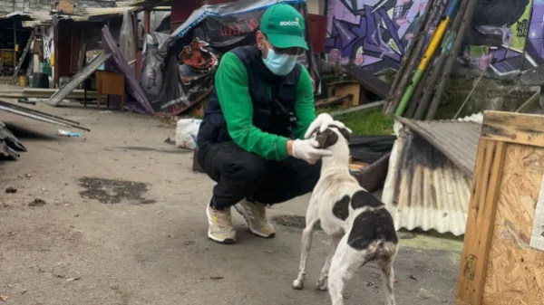 El Distrito desalojó refugio que atendía a más de 40 animales en Fontibón: comunidad denunció abusos del UNDMO