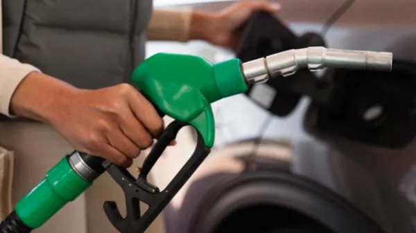 De la caña y la palma al motor: así apoyan los biocombustibles a la movilidad sostenible de Colombia