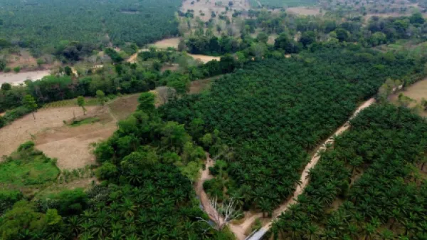 Un cultivo de paz entre las huellas del conflicto