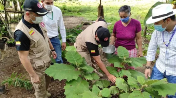 Desminadores incentivan la economía rural en zonas afectadas por minas antipersonal