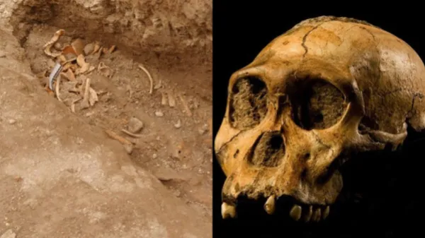 Científicos descubren un linaje desconocido que habitó en Colombia hace más de 6.000 años