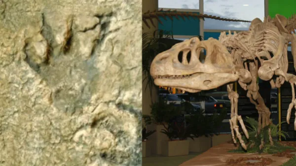 ¿Qué tan rápidos eran realmente los dinosaurios? Un estudio reveló que quizá fueron más lentos de lo que se pensaba