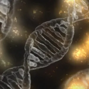 Hallan una molécula esencial para crear otras más complejas