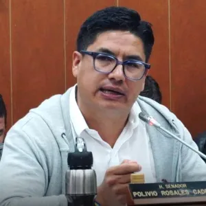 Consejo de Estado anula la elección de otro congresista cercano al Pacto Histórico