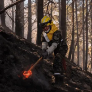 Incendios en Bogotá: estas son las zonas de la capital que sufren quemas forestales