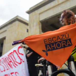 El Gobierno y activistas ambientales reaccionaron a aval del Acuerdo de Escazú