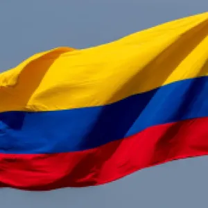 La campaña libertadora revisitada | Crucigrama