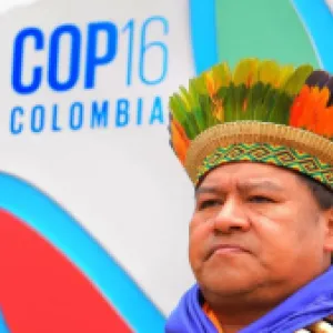 ¿Cuánto dinero le deja a Cali la COP 16? 