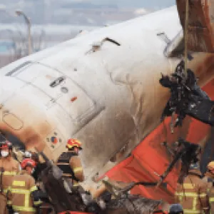 Expertos cuestionan el impacto de un pájaro como causa del mortal accidente aéreo en Corea del Sur