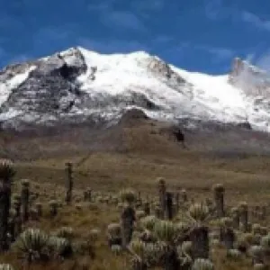 ¿Cómo prepararse físicamente para hacer montañismo de alta exigencia en Colombia? Recomendaciones