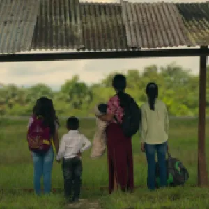 Pescado crudo y heridas abiertas: informe revela detalles de cómo sobrevivieron los cuatro hermanos Mucutuy en la Amazonía