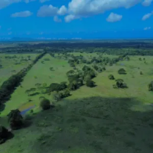 ¿Se despeja el camino para el nuevo aeropuerto de Cartagena en Bayunca?