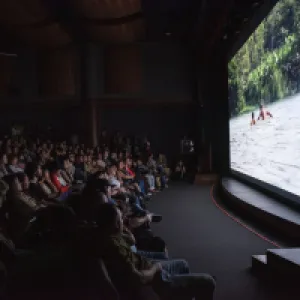 Una cárcel como la selva: el cine colombiano regresa a su raíz