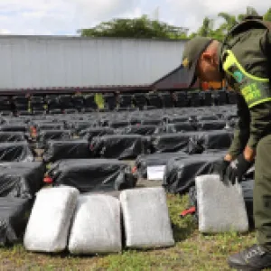 Incautadas 7,5 toneladas de marihuana en Caldas en operativo contra disidencias de las Farc de Iván Mordisco