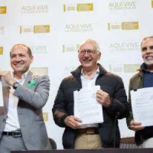 ¿Por qué la consulta popular 2.0 es inviable jurídicamente?