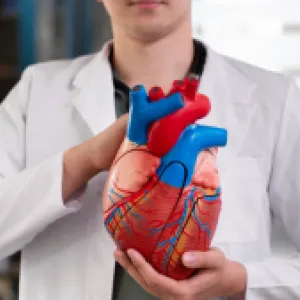 Cómo cuidar el corazón según su edad: claves para una vida larga y saludable, según un cardiólogo