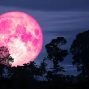 Luna llena de fresa en 2025: ¿cómo verla en Colombia?