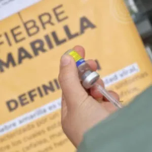 Ministerio de Salud reforzó medidas para evitar nuevos contagios de fiebre amarilla en temporada de vacaciones