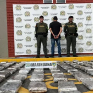 Incautan cinco toneladas de marihuana camuflada en artículos de aseo transportadas en tractomula