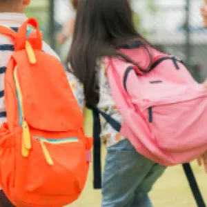 Vacaciones escolares de mitad de año: calendario 2025 y actividades para niños