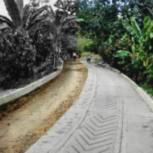 Caminos Comunitarios, el otro ‘chicharrón’ de la Paz Total: ¿dónde van bien y dónde van mal?