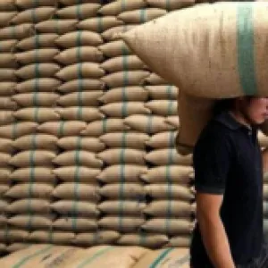 “Nos encontramos cerca de lograr un acuerdo”: Ministerio de Agricultura sobre paro arrocero