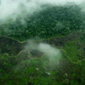 Aumentó la deforestación en Colombia: en el último año se perdieron más de 113.000 hectáreas 