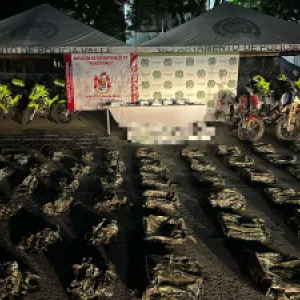 Golpe del Ejército a integrantes del Clan del Golfo en Valle del Cauca: dos capturados y un muerto en operación militar