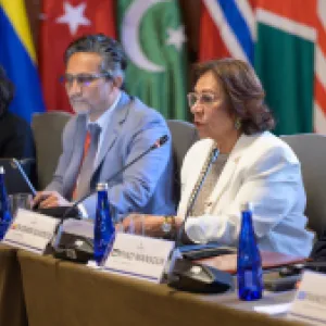 “Palestina no está sola”: canciller (e) Rosa Yolanda Villavicencio invitó a iniciar acciones jurídicas y políticas para detener el sufrimiento en Gaza