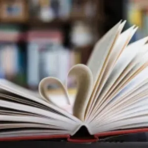 Gozar Leyendo con CAMBIO: un viaje a la mente de las abejas