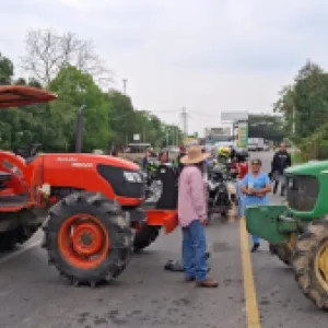 Productores de arroz iniciaron paro nacional indefinido: estas son sus razones