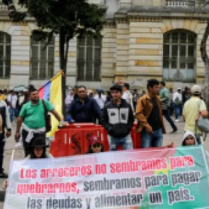 Paro arrocero: así avanzan las negociaciones con el Gobierno nacional tras la primera jornada de diálogo