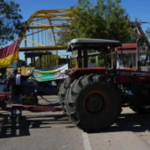 Paro arrocero: ¿cómo avanzan las negociaciones entre productores y el Gobierno?