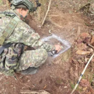 Ejército destruye 59 explosivos en zona rural de Caquetá que iban a ser utilizados para posibles ataques