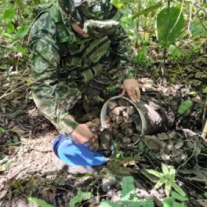 El desminado que exige el frente 33 para permanecer en la zona de ubicación temporal del Catatumbo