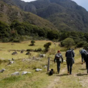 Se levantó paro campesino en Boyacá: las claves del acuerdo entre el Gobierno y los parameros