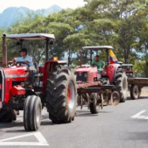 Sobreoferta, importaciones y falta de incentivos: así se cocinó la crisis arrocera en Colombia