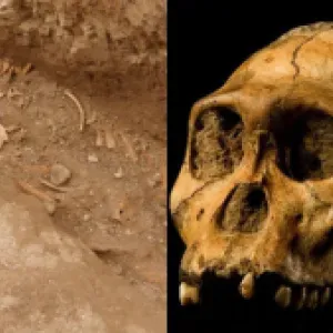 Científicos descubren un linaje desconocido que habitó en Colombia hace más de 6.000 años